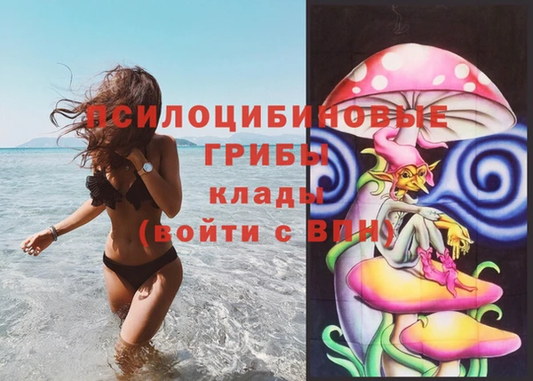 меф Майский